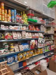 اكل طيور علف طيور مستلزمات طيور بادجي كروان كاسكو مكاو دره 6