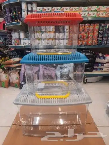 اكل طيور علف طيور مستلزمات طيور بادجي كروان كاسكو مكاو دره 40