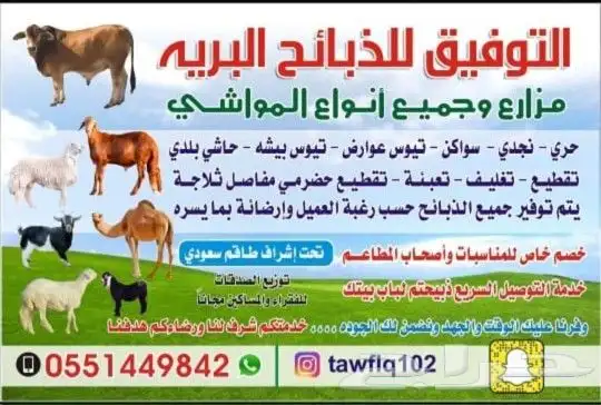 طليان ذبايح حريات فاخره لباب بيتك وسواكني 0