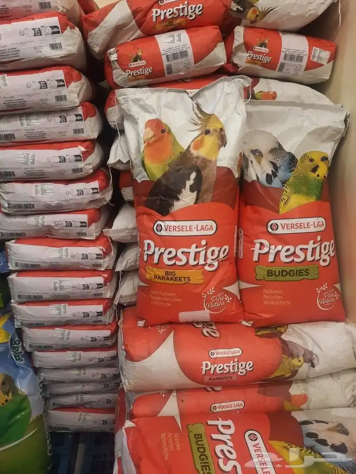 اكل طيور علف طيور مستلزمات طيور بادجي كروان كاسكو مكاو دره 49