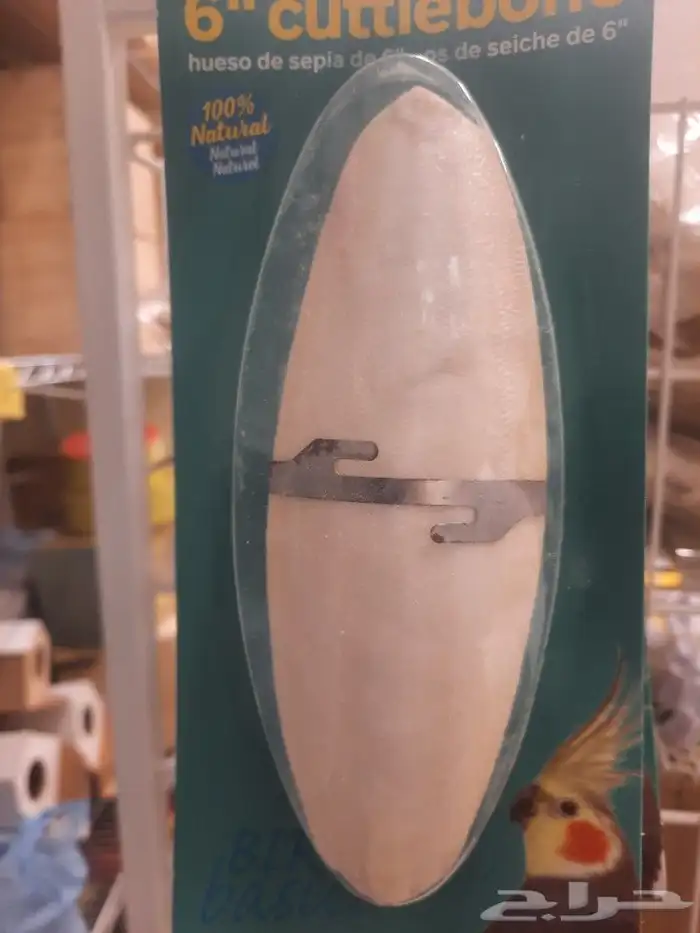 اكل طيور علف طيور مستلزمات طيور بادجي كروان كاسكو مكاو دره 10