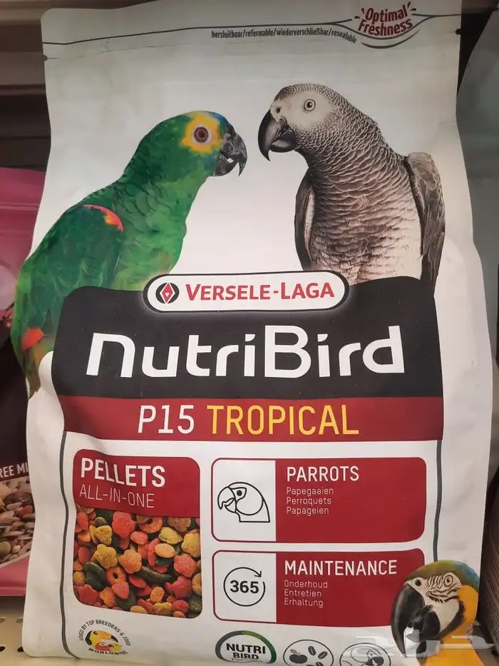 اكل طيور علف طيور مستلزمات طيور بادجي كروان كاسكو مكاو دره 16