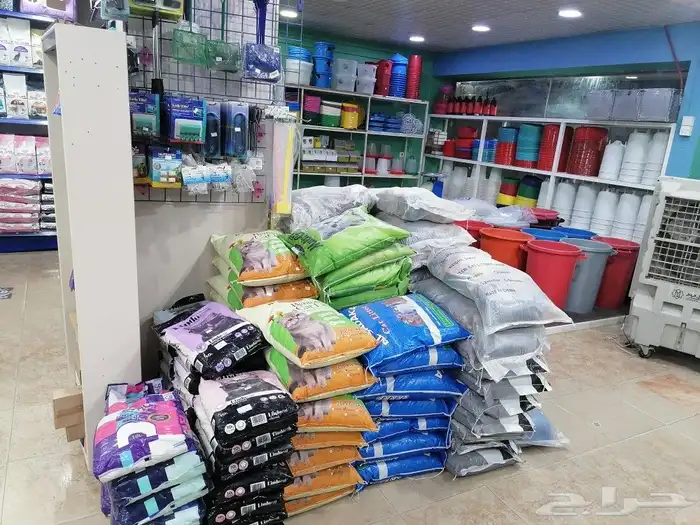قطط مستلزمات طيور وقطط وأسماك 4
