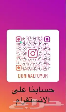 قطط مستلزمات طيور وقطط وأسماك 23