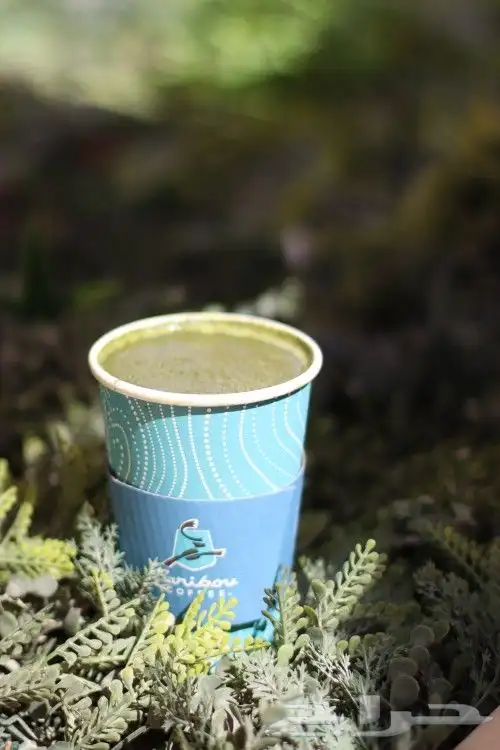 جلسات تصوير فوتوغرافي احترافيه 2