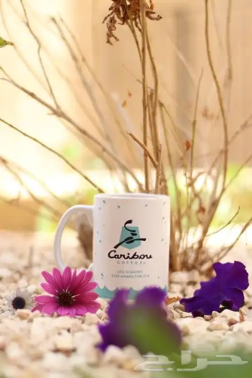 جلسات تصوير فوتوغرافي احترافيه 3