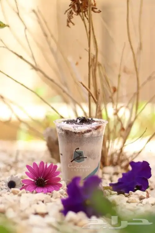 جلسات تصوير فوتوغرافي احترافيه 4