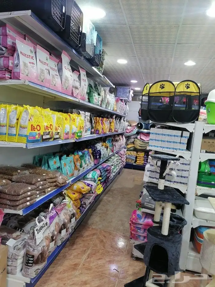قطط مستلزمات طيور وقطط وأسماك 10
