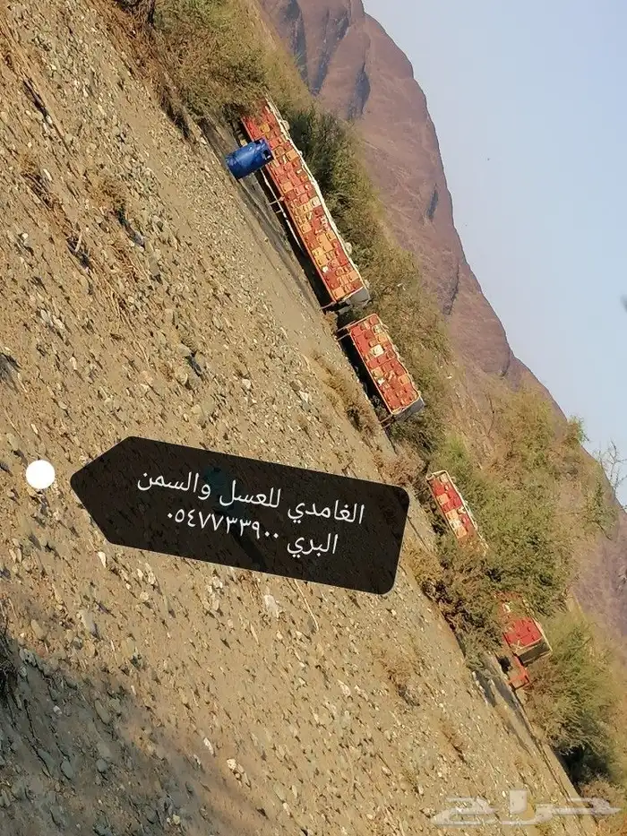 الغامدي لبيع العسل والسمن البلدي 12