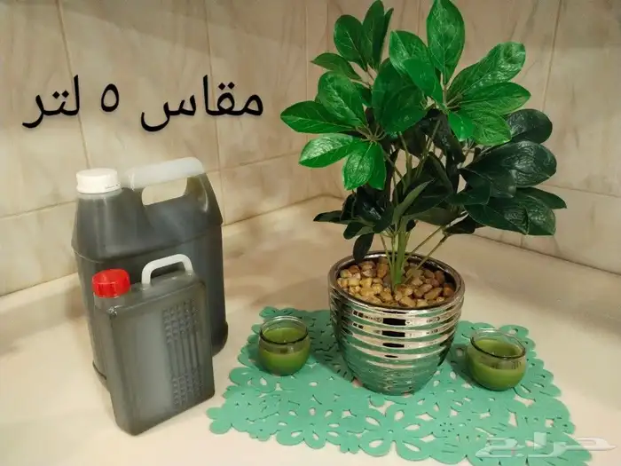 زيت زيتون فلسطيني بكر بعل جديد2023 لكل السعودية 20