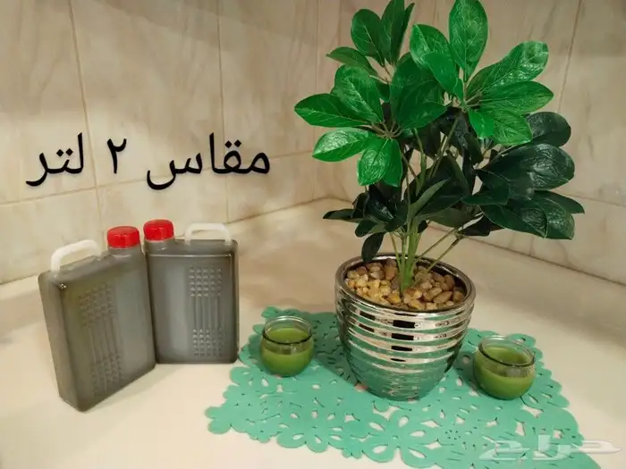 زيت زيتون فلسطيني بكر بعل جديد2023 لكل السعودية 18