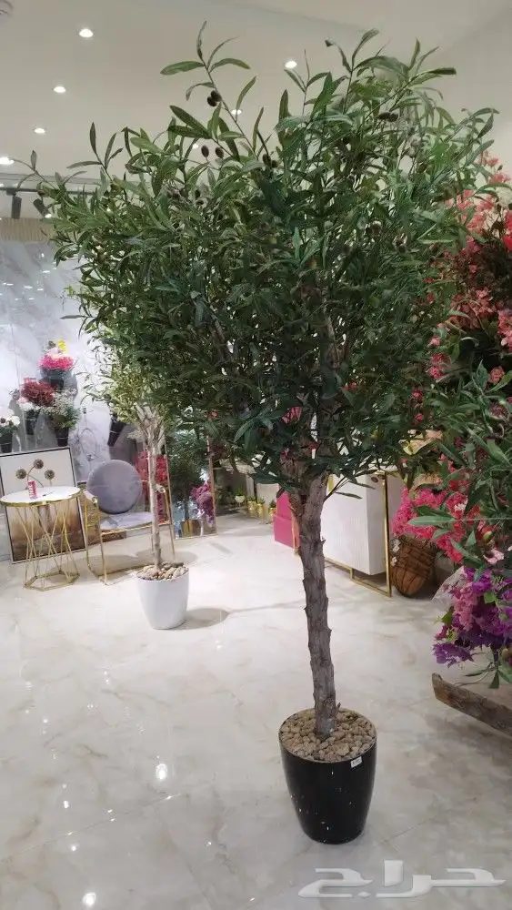 زيتون صناعي 3