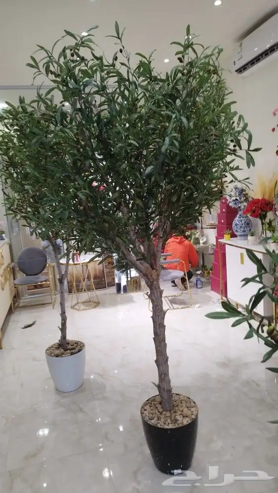 زيتون صناعي 4