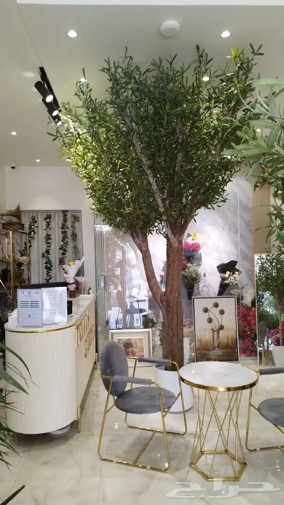 زيتون صناعي 0