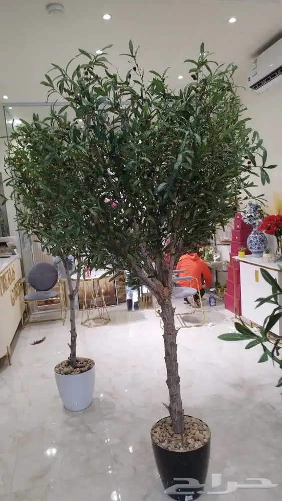 زيتون صناعي 2