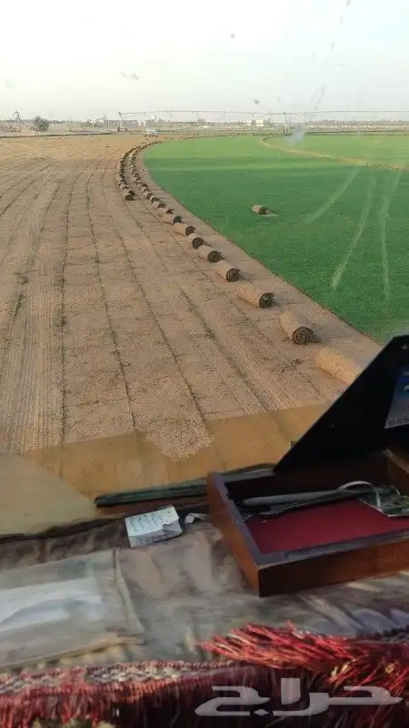 ثيل طبيعي سي 2000 فرنسي وشبكه الري 10