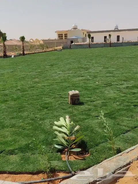 ثيل طبيعي سي 2000 فرنسي وشبكه الري 5