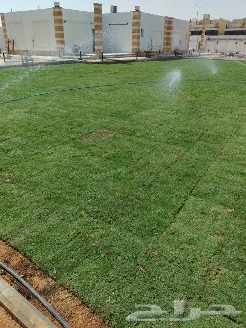 ثيل طبيعي سي 2000 فرنسي وشبكه الري 6