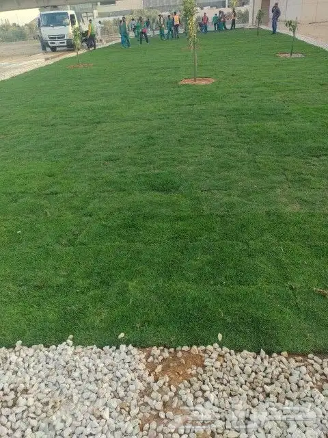 ثيل طبيعي سي 2000 فرنسي وشبكه الري 9