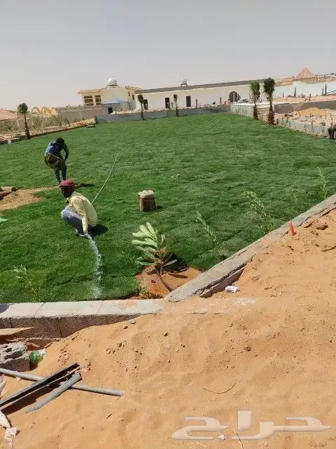 ثيل طبيعي سي 2000 فرنسي وشبكه الري 4