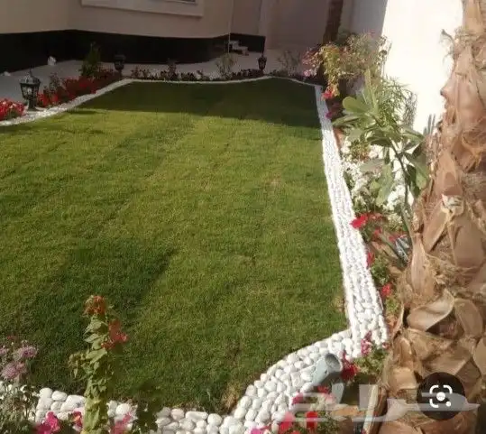 ثيل طبيعي سي 2000 فرنسي وشبكه الري 14