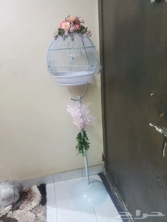 مفاجأت وهدايا اقفاص مزينه بالورود . بط . سمك . طيور 5