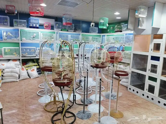 طيور قطط أسماك مستلزمات 17