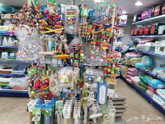 طيور قطط أسماك مستلزمات 7