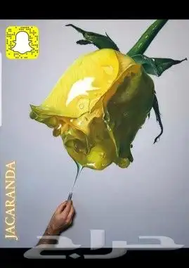 بيع عطور حصريه بي لاصحاب المتاجر 1