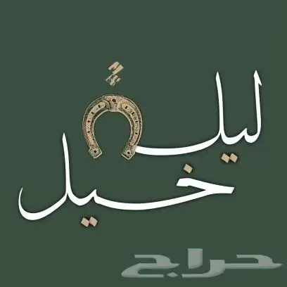 تصميم شعارات 5