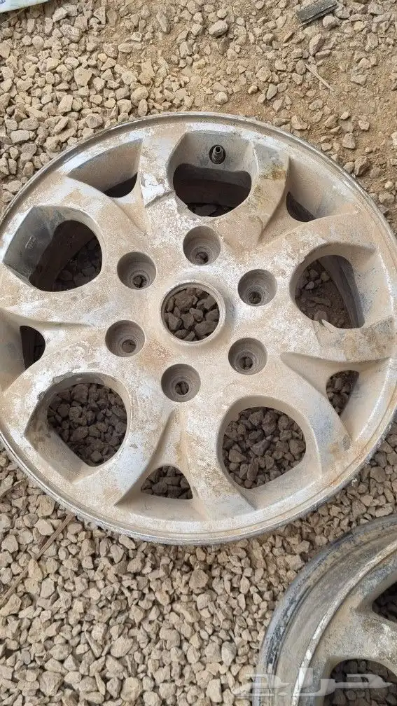 جنوط H1 2