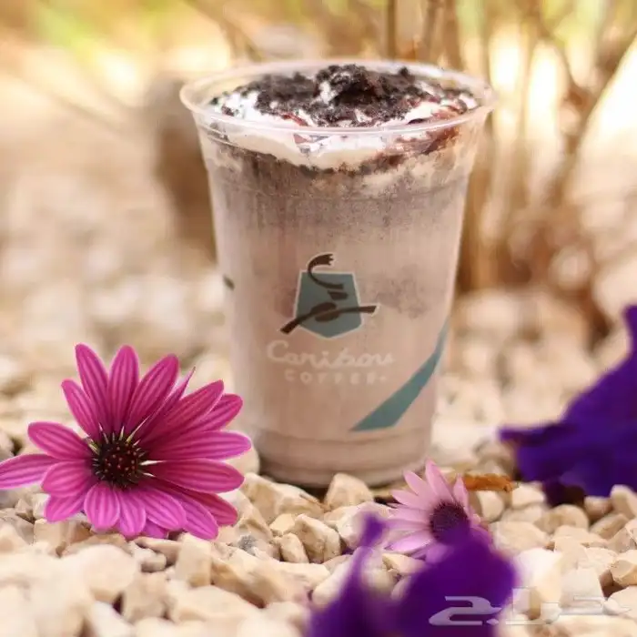 تصوير احترافي 5