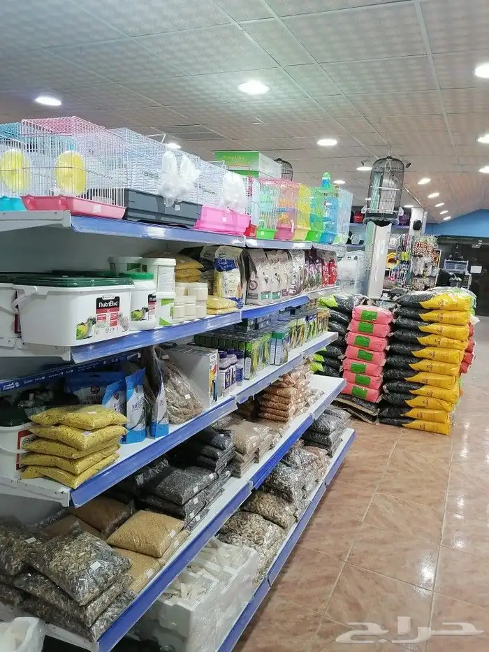 طيور قطط أسماك مستلزمات 4