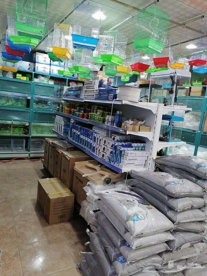 طيور قطط أسماك مستلزمات 14
