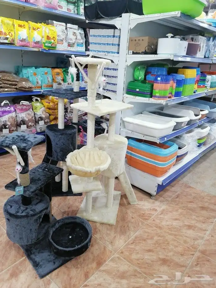 طيور قطط أسماك مستلزمات 21