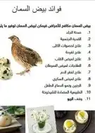 يتوفر حاليا بيض السمان 0