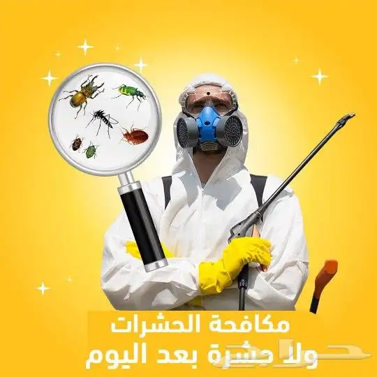 مكافحه حشرات بعرعر 2