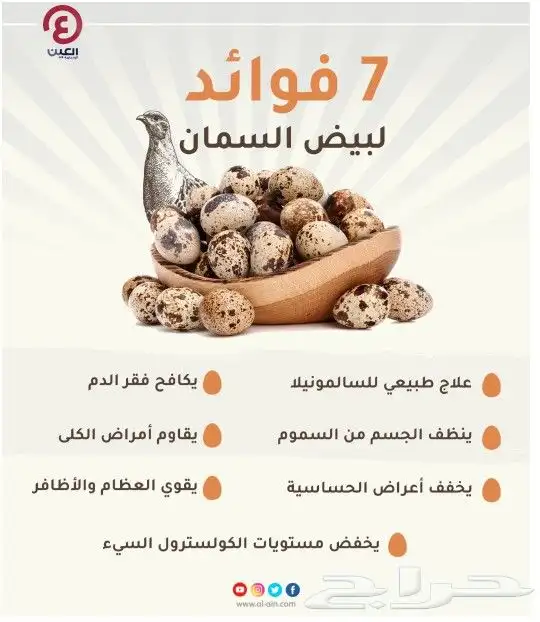 يتوفر حاليا بيض السمان 1