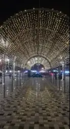 بيبي لد جوده 100متر 1