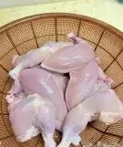 دجاج طازج تختار بنفسك ويذبح امامك 1