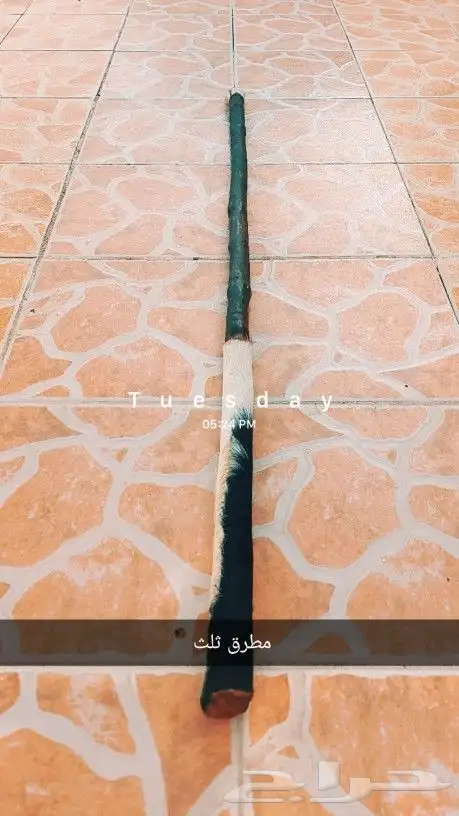 عصي مزمار نوع لوز مصري وبومب هندي مسقيه بزيت ليه ومجلبه 0