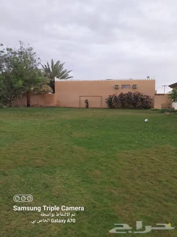 منتجع حلوه للإيجار اليومي بالقاعد 17