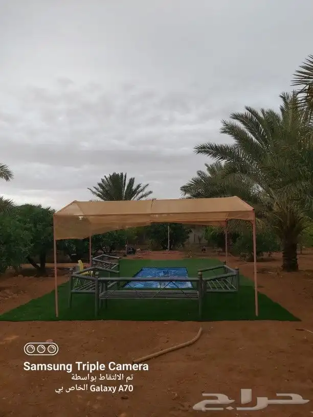 منتجع حلوه للإيجار اليومي بالقاعد 9