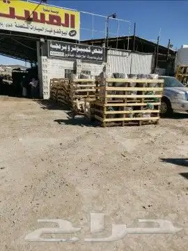 محركات مكائن مستورده مستخدمه مستعمله بنزين ديزل للبيع 9