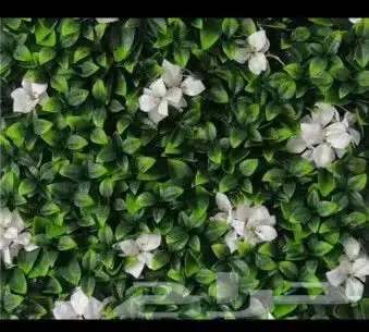 مستوع جملة فنوون العشب 3