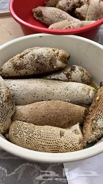 عسل طبيعي 100   من جبال الجنوب ( وحشي ) 5