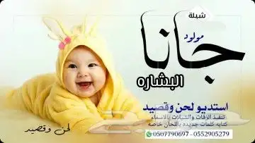 استديو تنفيذ شيلات مناسبات زواج عريس عروس ترحيب 2