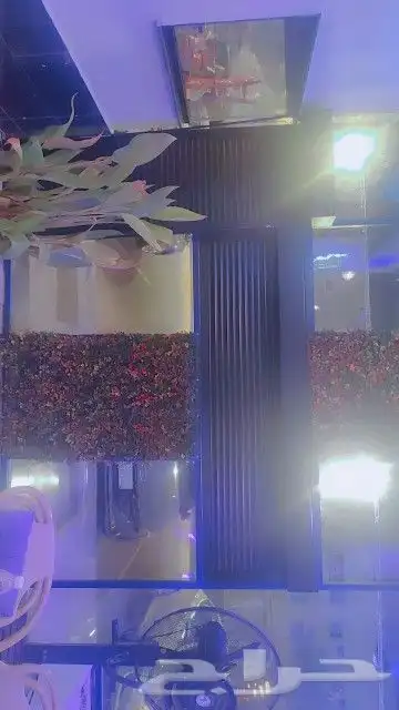 اعمال المنيوم شتر شبابيك واجهات ابواب زجاج سيكوريت 17