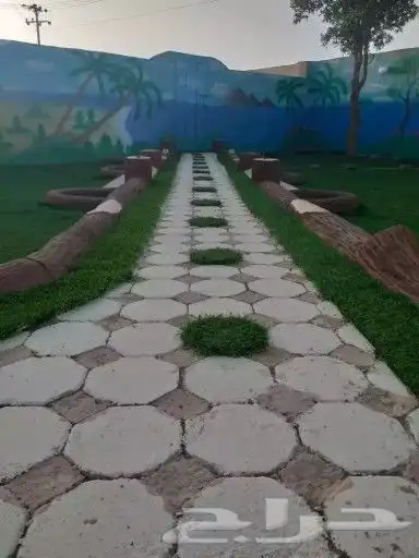 المدينة المنورة حي الملك فهد بالمدينة المنورة 15