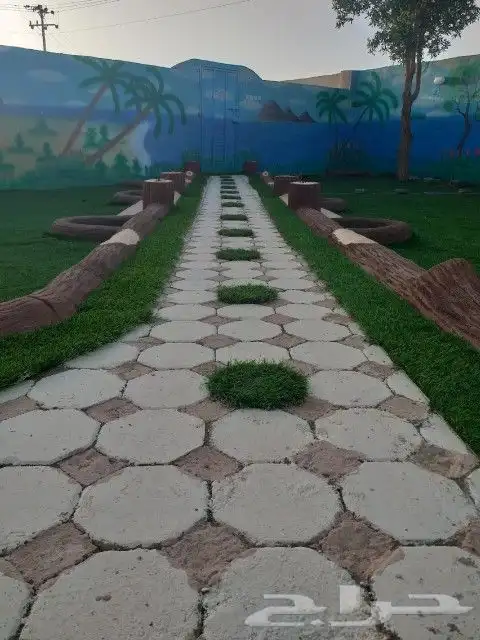 المدينة المنورة حي الملك فهد بالمدينة المنورة 12